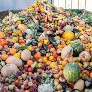 Spreco alimentare, con la legge Gadda recuperati cibo e farmaci per 10 miliardi