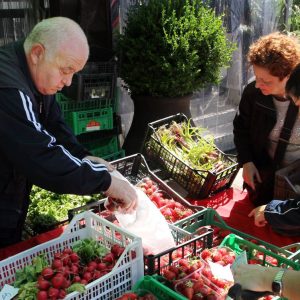 Imballaggi in plastica, sì alla vendita solo se biodegradabili e compostabili