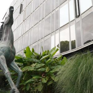 Quella vecchia e reiterata idea di privatizzare la Rai