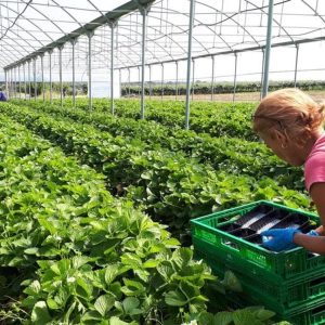 Patto biennale con il Fisco decisivo per la prossima legge di Bilancio