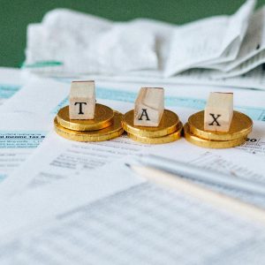 Visto sulle dichiarazioni dei redditi, legittima la riserva agli iscritti agli Ordini professionali